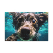 Terreir Dog face in Water Canvas Gallery Wraps