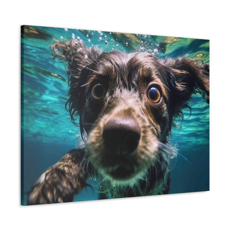 Terreir Dog face in Water Canvas Gallery Wraps