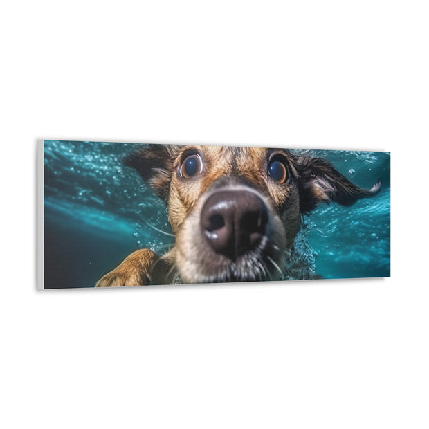 Dog under water