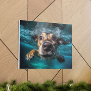 Dog under water