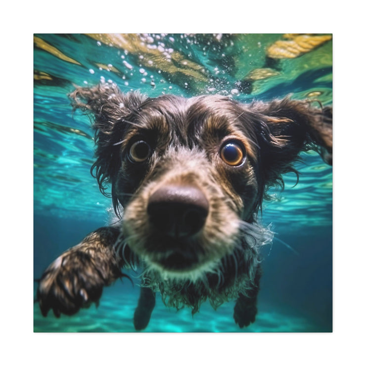 Terreir Dog face in Water Canvas Gallery Wraps