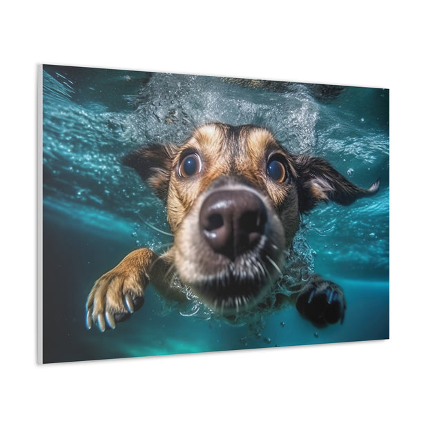 Dog under water