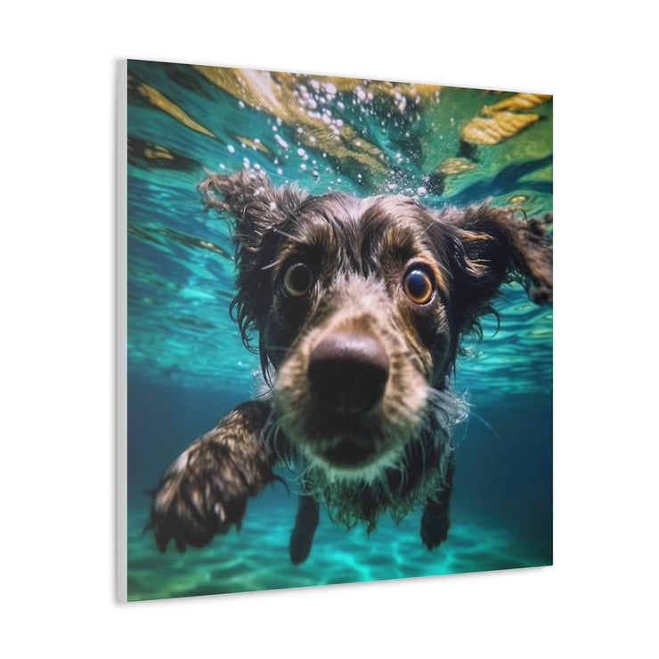 Terreir Dog face in Water Canvas Gallery Wraps