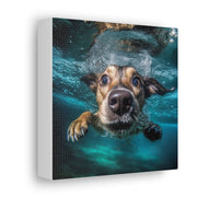 Dog under water