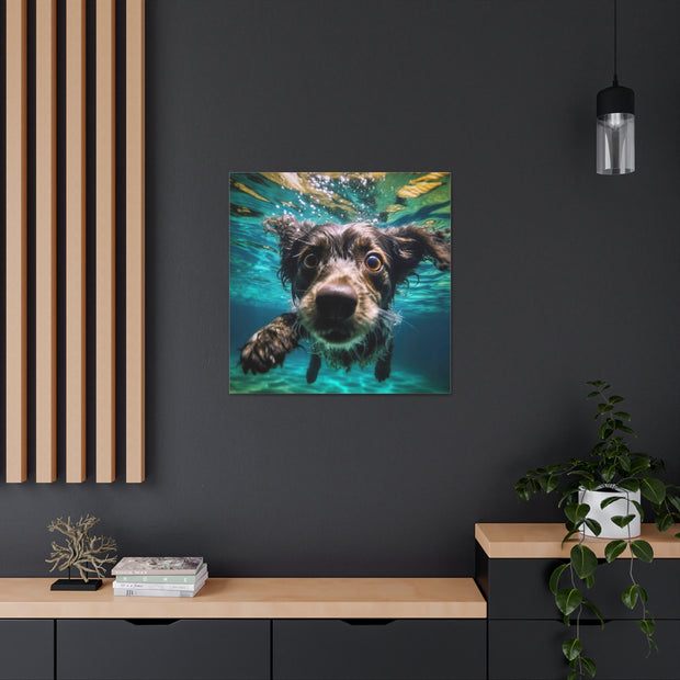 Terreir Dog face in Water Canvas Gallery Wraps