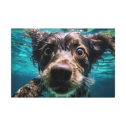 Terreir Dog face in Water Canvas Gallery Wraps