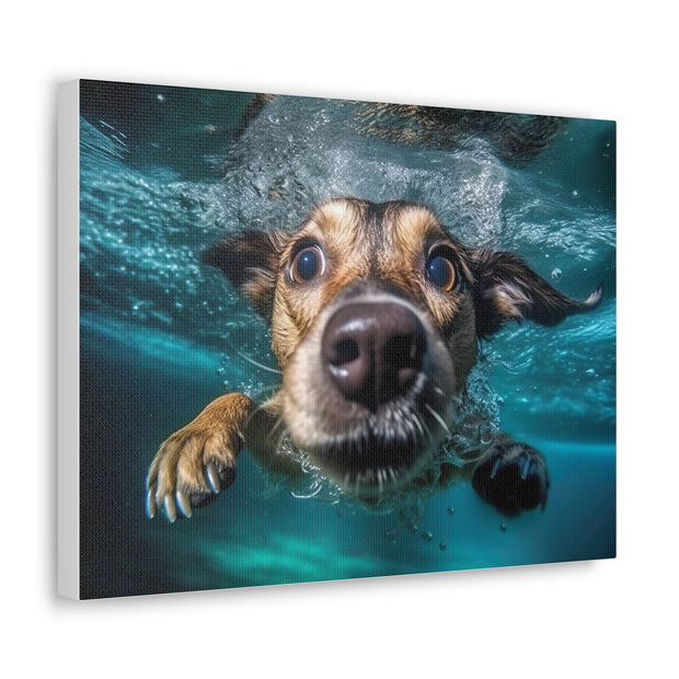 Dog under water