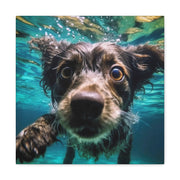 Terreir Dog face in Water Canvas Gallery Wraps