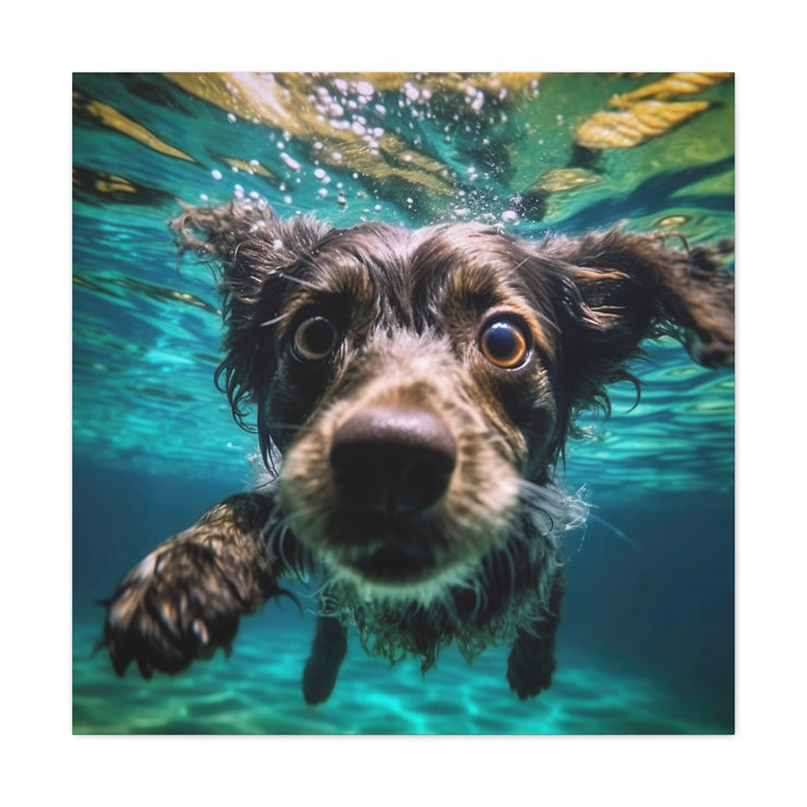 Terreir Dog face in Water Canvas Gallery Wraps