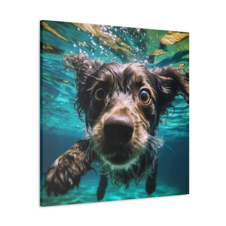 Terreir Dog face in Water Canvas Gallery Wraps