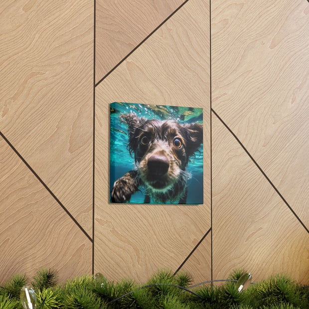 Terreir Dog face in Water Canvas Gallery Wraps