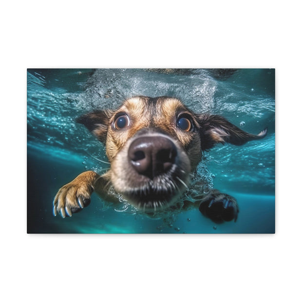 Dog under water