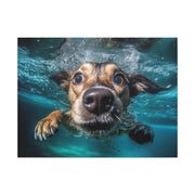 Dog under water