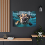 Dog under water