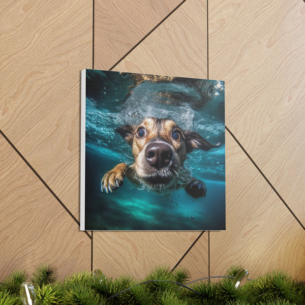 Dog under water