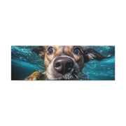 Dog under water