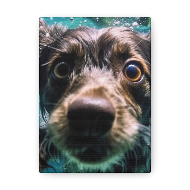 Terreir Dog face in Water Canvas Gallery Wraps