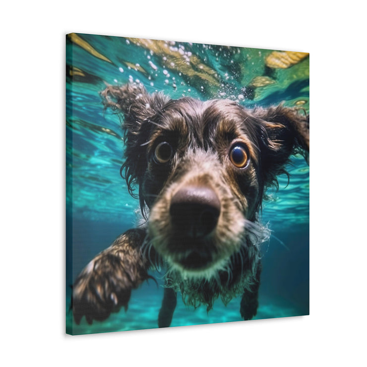 Terreir Dog face in Water Canvas Gallery Wraps