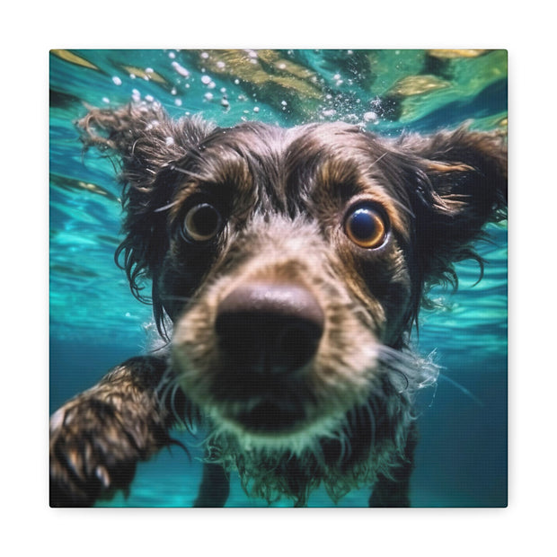 Terreir Dog face in Water Canvas Gallery Wraps