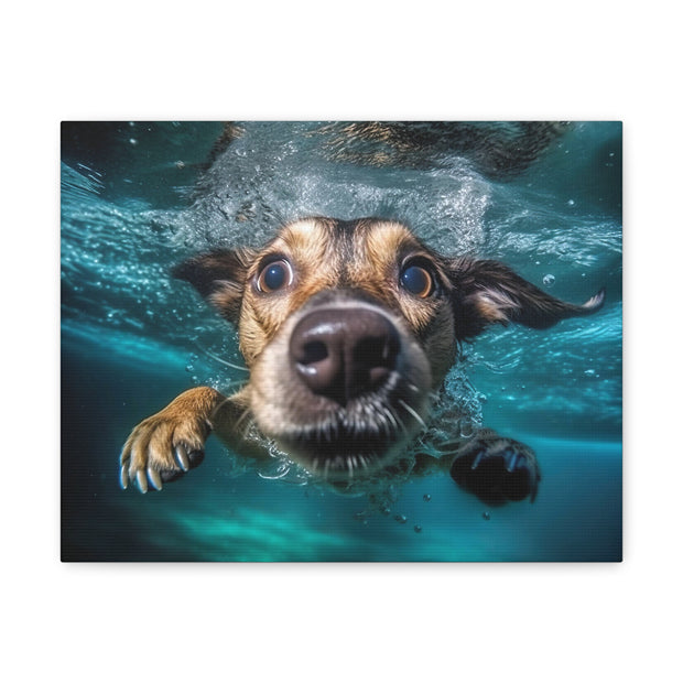 Dog under water