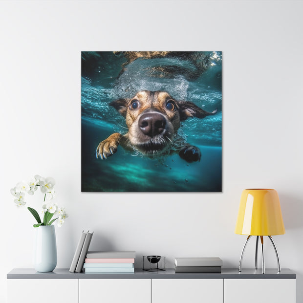 Dog under water