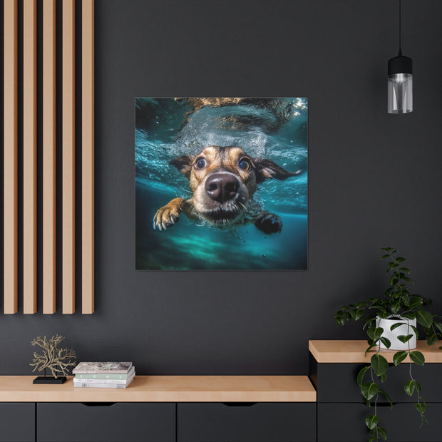 Dog under water