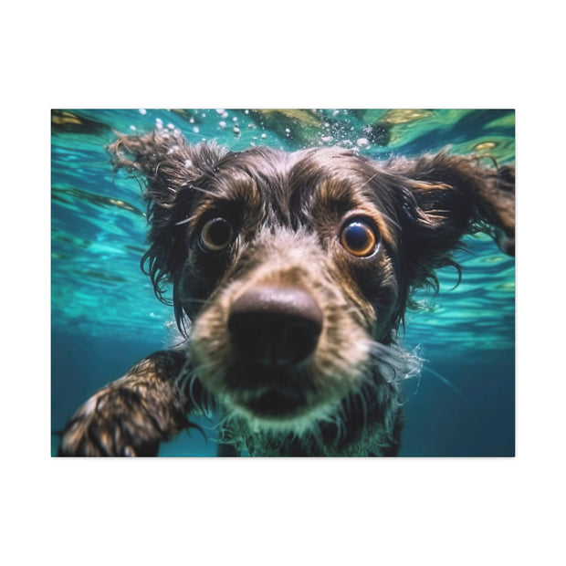 Terreir Dog face in Water Canvas Gallery Wraps