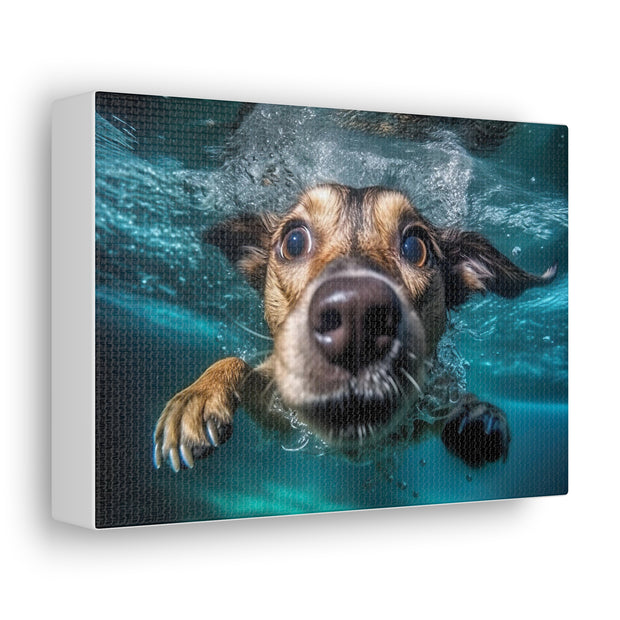 Dog under water