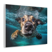 Dog under water