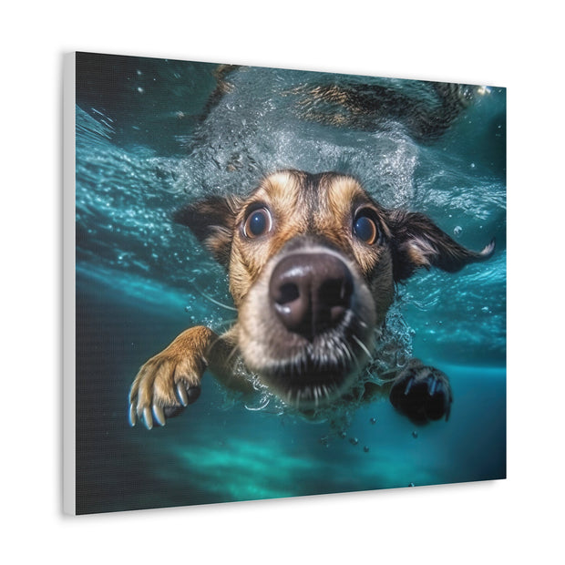 Dog under water