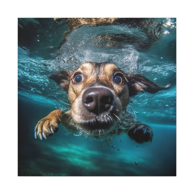 Dog under water