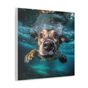 Dog under water