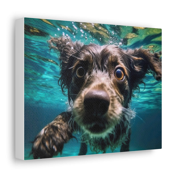 Terreir Dog face in Water Canvas Gallery Wraps