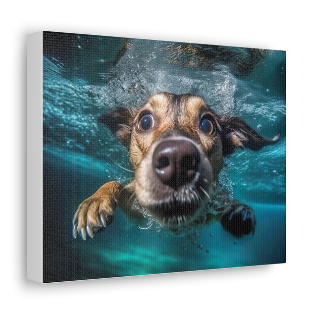 Dog under water