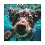 Terreir Dog face in Water Canvas Gallery Wraps