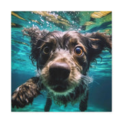 Terreir Dog face in Water Canvas Gallery Wraps