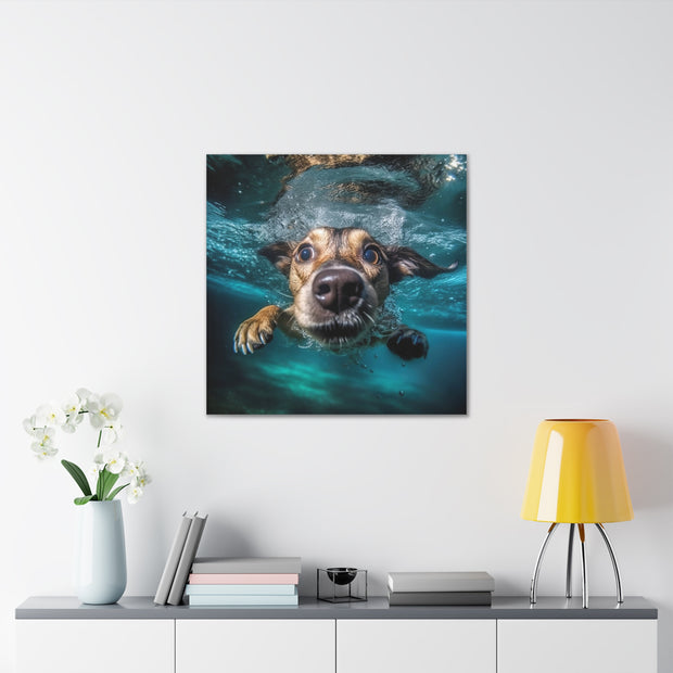 Dog under water