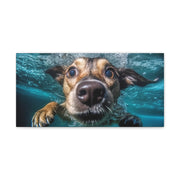 Dog under water