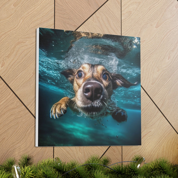 Dog under water