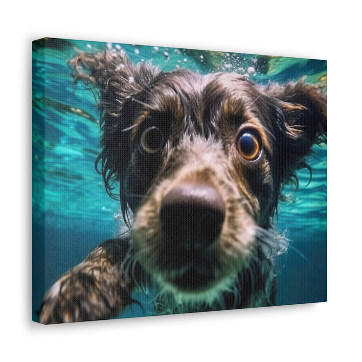 Terreir Dog face in Water Canvas Gallery Wraps