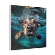 Dog under water