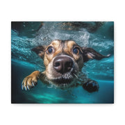 Dog under water