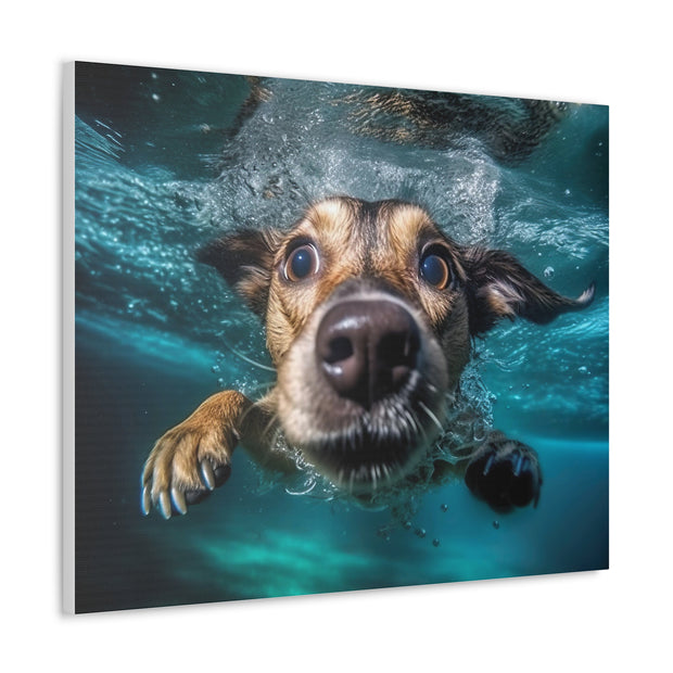 Dog under water