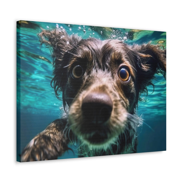 Terreir Dog face in Water Canvas Gallery Wraps