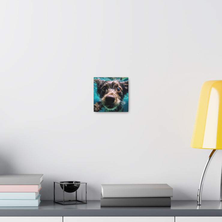 Terreir Dog face in Water Canvas Gallery Wraps