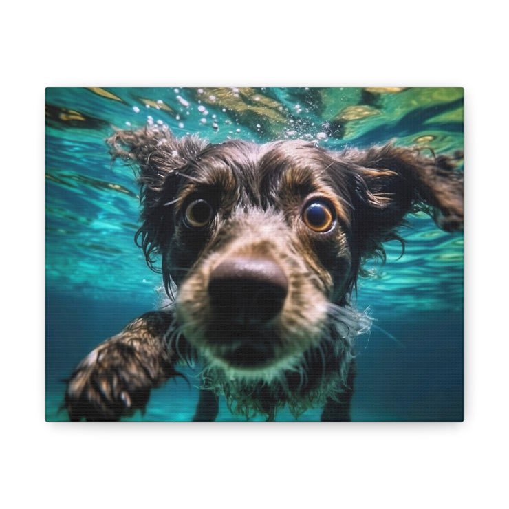 Terreir Dog face in Water Canvas Gallery Wraps