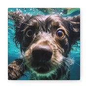 Terreir Dog face in Water Canvas Gallery Wraps