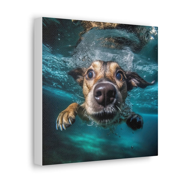 Dog under water