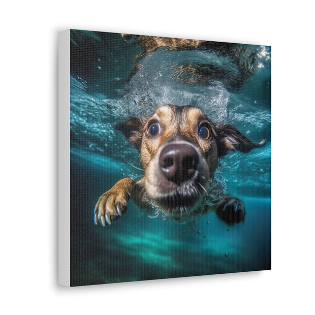 Dog under water