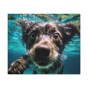 Terreir Dog face in Water Canvas Gallery Wraps